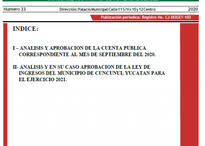 Gaceta No. 33