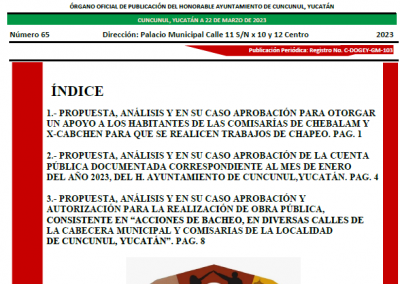 Gaceta No. 65